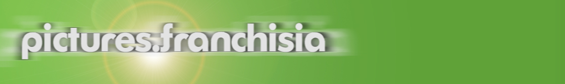 pictures.franchisia